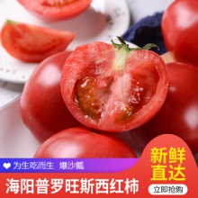 【古寨山】山东海阳普罗旺斯西红柿 新鲜沙瓤生吃番茄  新鲜蔬菜 【普通装】4.5斤