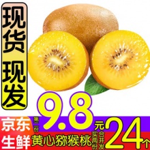 淳果一木 黄心猕猴桃 12个 单果约80-110克 黄金奇异果金果 新鲜水果 猕猴桃 生鲜 水果